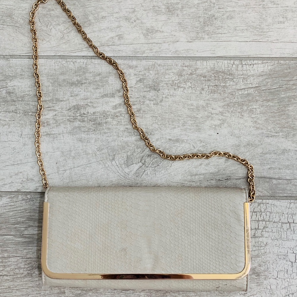 Aldo Clutch Bag